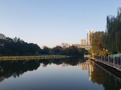 -月湖风景区
