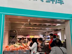 -洛阳郁金香牡丹园