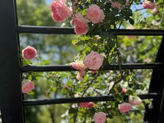 -上海交通大学(闵行校区)