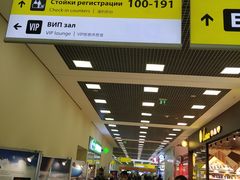 -谢列梅捷沃国际机场