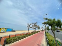 -烟台金沙滩海滨公园
