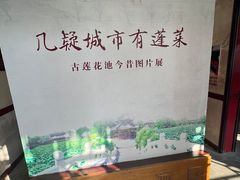 -莲池书院博物馆