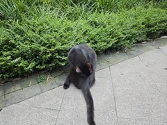 -晓港公园