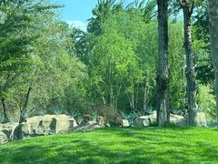 -北京野生动物园