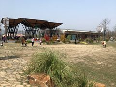 -上海长兴岛郊野公园