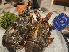 -海月轩海鲜豆捞(紫金塔店)