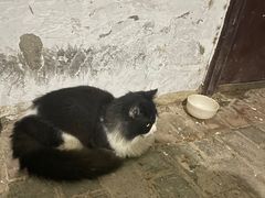 -宠颐生汉谟拉比宠物医院