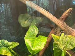 -可伦宾野生动物保护区