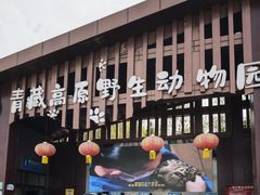 -青藏高原野生动物园