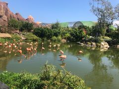 -芽庄珍珠岛游乐园