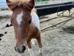 -水上乐园·欢乐世界