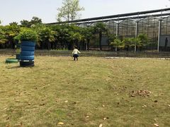 -上海都市菜园