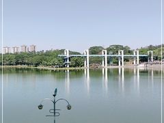 -东莞植物园