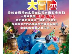 -兜莱·亲亲袋鼠国际早教