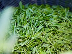 -华祥苑茶馆•国缤茶小蓝罐(普罗旺斯店)