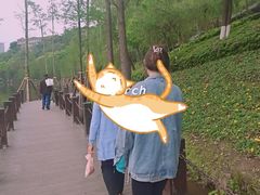 -重庆彩云湖湿地公园