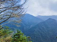 -东天目山风景区