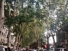 -雕刻时光咖啡馆(师大路店)