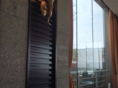 -海天一色海景自助餐厅(西港花园店)