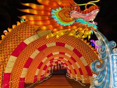 -欢乐海岸椰林沙滩-2025湾区超级灯会