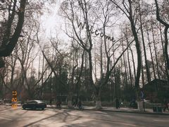 -也枫·小黄楼(南山路旗舰店)
