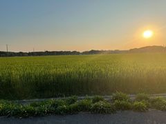 -嘉北郊野公园