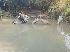 -汇龙潭