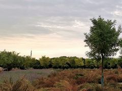 -嘉北郊野公园