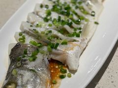 -船歌·鱼水饺青岛菜(金狮广场店)