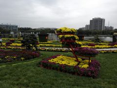 -廊坊文化艺术中心