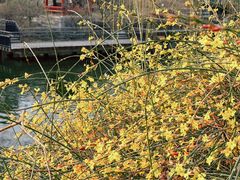 -安定门(地铁站)