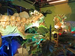 点击看大图 -恐龙探索乐园(磁器口店)