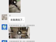 -守诺宠物医院·眼科· 特色牙科·异宠专科(虹口店)