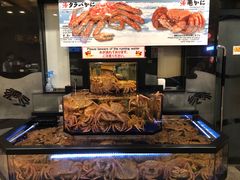 -蟹道乐(道顿堀本店)