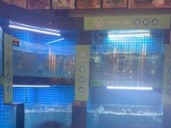 -千岛湖小鱼儿·淳安匠心农家菜