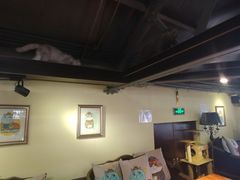 大堂-more than meow吴止猫主题餐厅(承德 中船汇店)