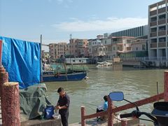 -大湾区中央湿地公园-十九涌
