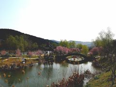 -石塘人家