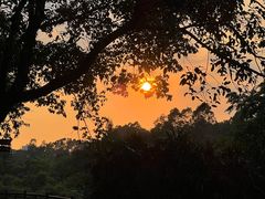 -南国桃园旅游度假区