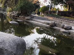 -花溪公园