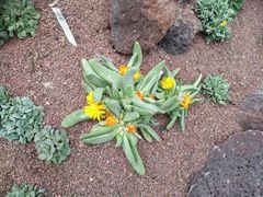 -南通洲际绿博园