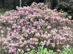 -文昌阁-老东门遗址