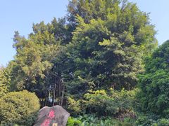 -乌山风景区