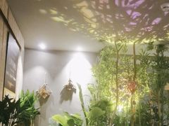 -施奈儿.洗头頭療.按摩SPA.采耳(上梅林店)