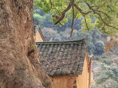 -杨家堂村