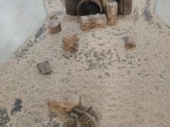 -海合安武汉极地海洋公园