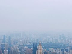 -武汉绿地中心