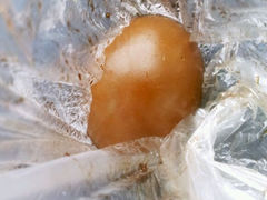 android_upload_pic-阿婆五香蛋(水游城店)