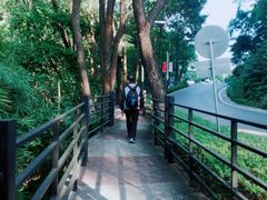 -广州市帽峰山景区
