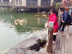 -上海怡沁园度假酒店